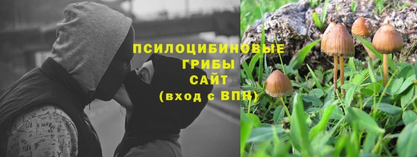 стафф Богданович