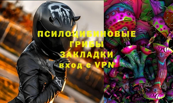 спиды Белокуриха