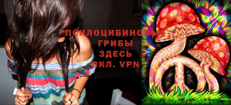 Псилоцибиновые грибы Cubensis  Белорецк 