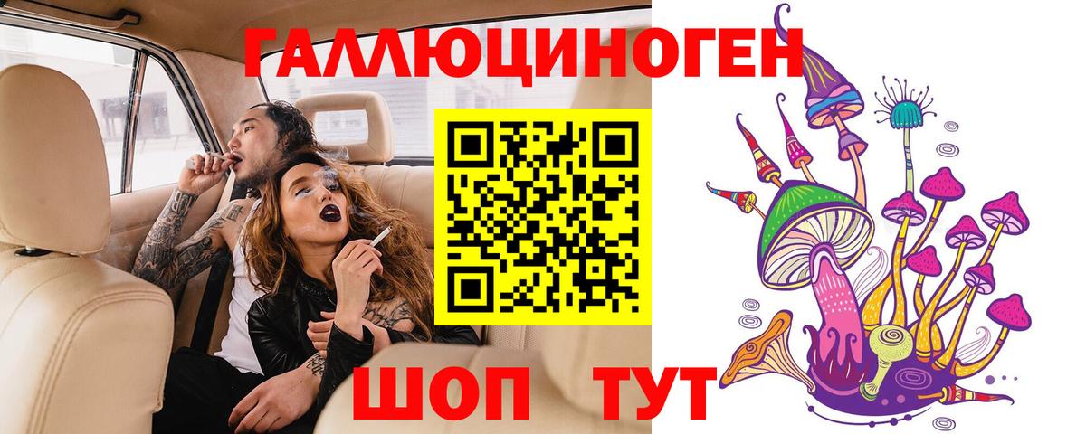 Галлюциногенные грибы Psilocybe Белорецк